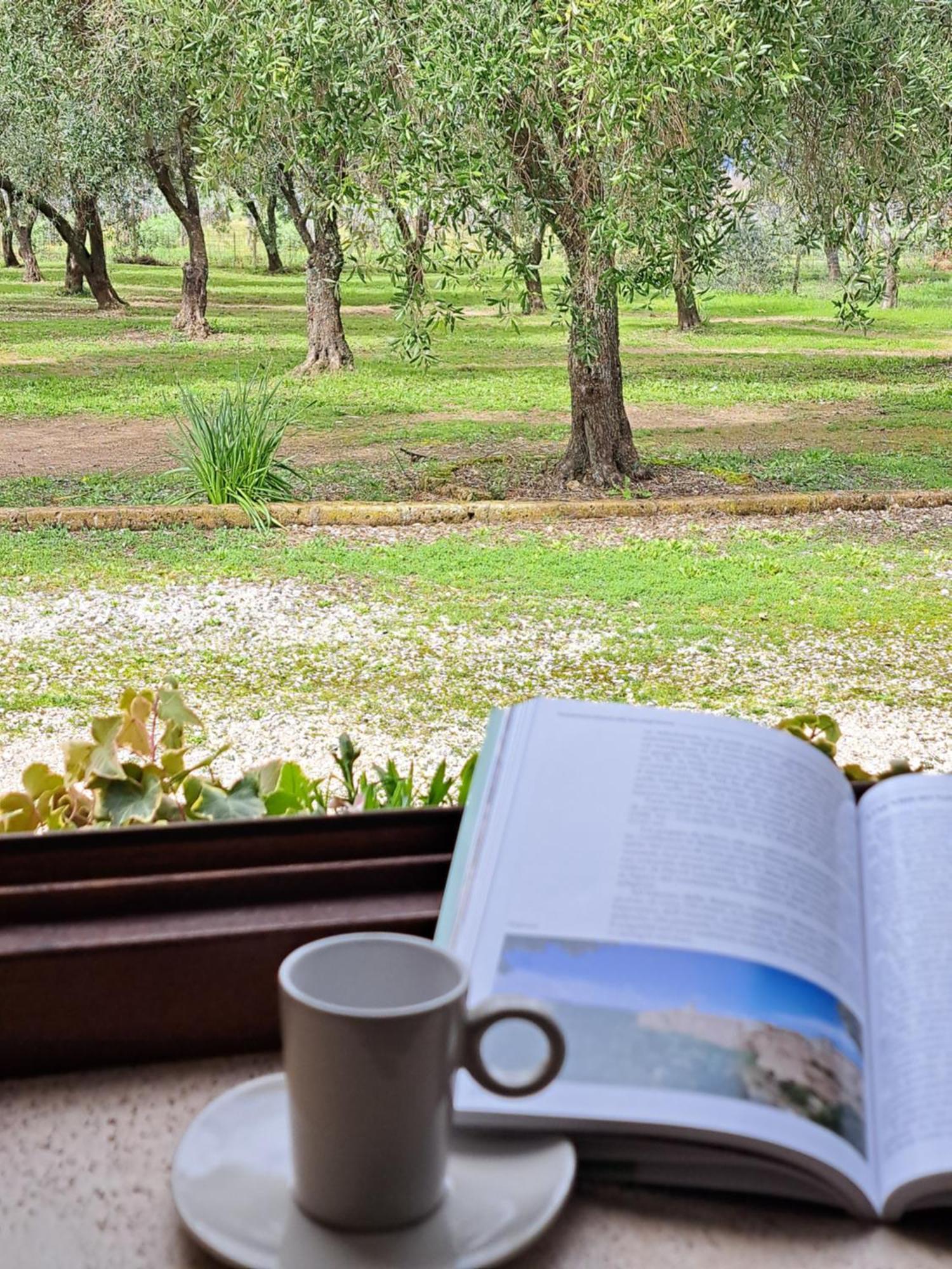 פיטיליאנו Agriturismo Tenuta Roccaccia מראה חיצוני תמונה